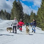 Refugi De L'arp Auberge de jeunesse Montargull de la Vansa