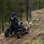 Refugi De L'arp Auberge de jeunesse